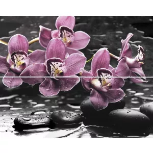 Панно Mosplitka Спа Орхидея многоцветный (компл. из 2-х шт.) 40х50 см